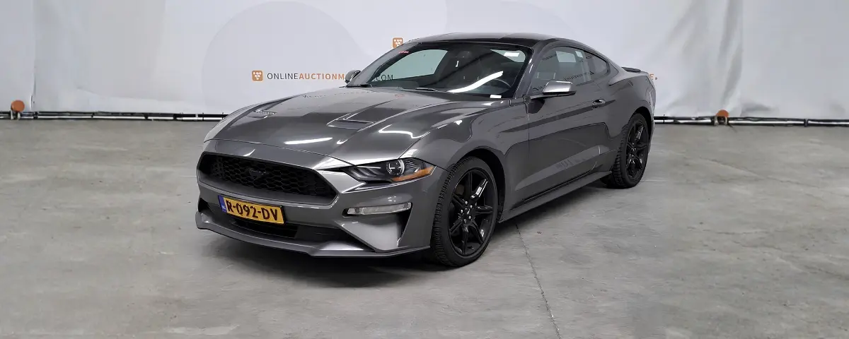 Ford Mustang Overheid; Ford Mustang gefotografeerd vanaf de voorkant tegen een witte achtegrond